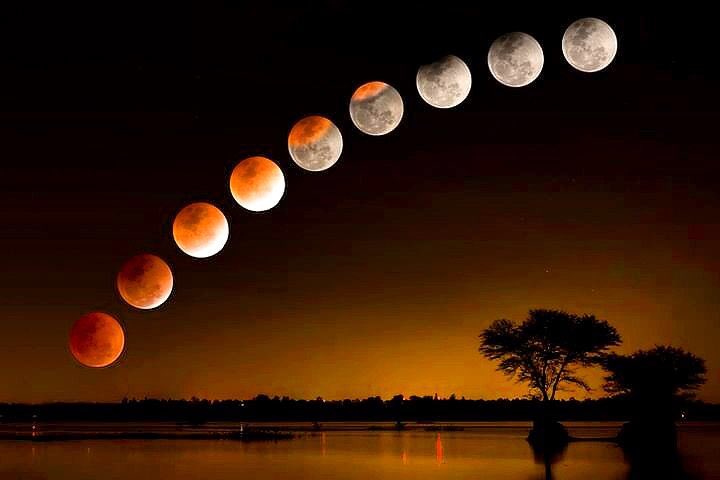 mibileo's tweet photo. 𝓘 watched you dance across the night sky,
In all your shades and colours.
I saw you brighten and fade away.
I saw you whole and hidden.
Even when I couldn’t see you,I watched still…
That mayhap I’d catch a glimpse.
And I loved you still..

🌕🌖🌗🌘🌑🌒🌓🌔

𝓖𝓸𝓲�� 𝓝𝓲𝓰𝓱𝓽! https://t.co/kBnLcAFj6E