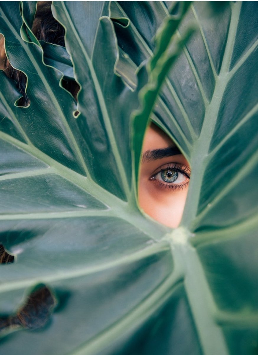 #IColoriDellAnima
Perché è sempre per le piccole cose che ci si perde, è sempre nei dettagli che è nascosta la vera natura degli esseri viventi.”

[Massimo Bisotti – Foto/grammi dell’anima – Mondadori]

#sensazionipoetiche
#VentagliDiParole