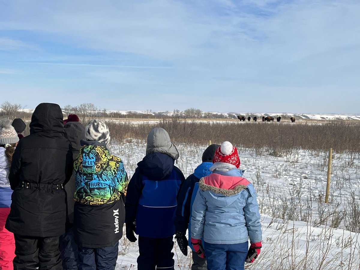GarnerLarissa's tweet photo. We conquered the valley and saw buffalo up close and personal. So proud of #landbased @CentennialSchoo. The students very courageous and resilient! https://t.co/jkcAgQoyPy