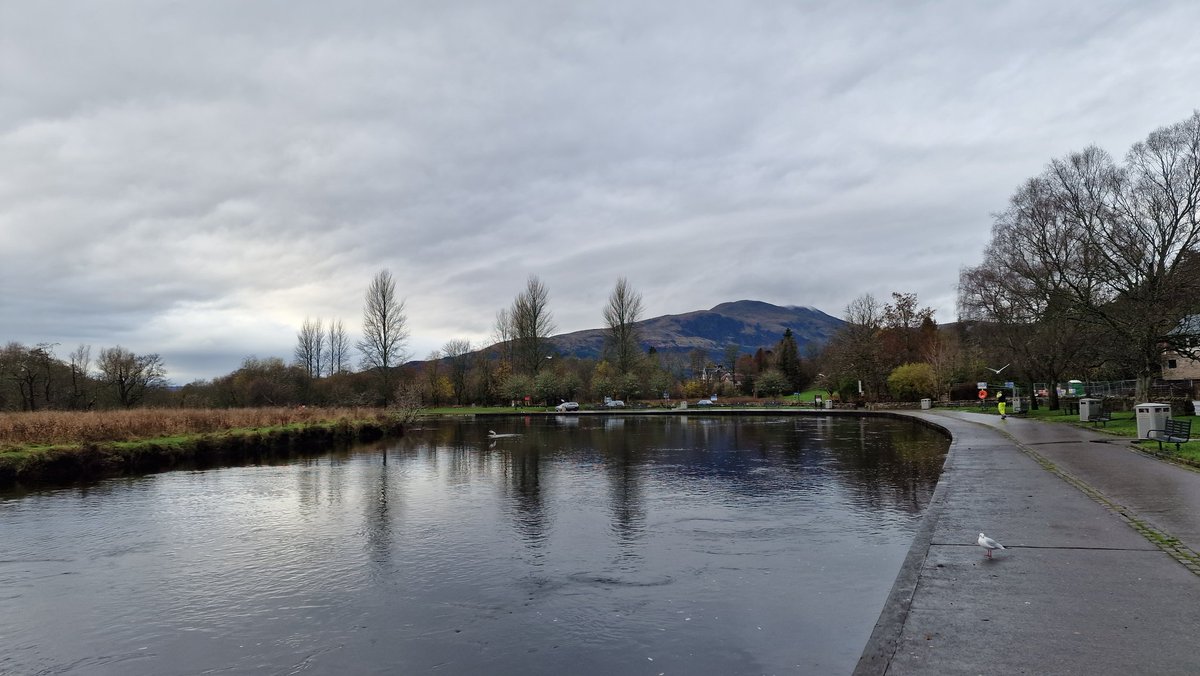 Forth Rivers Trust tweet media