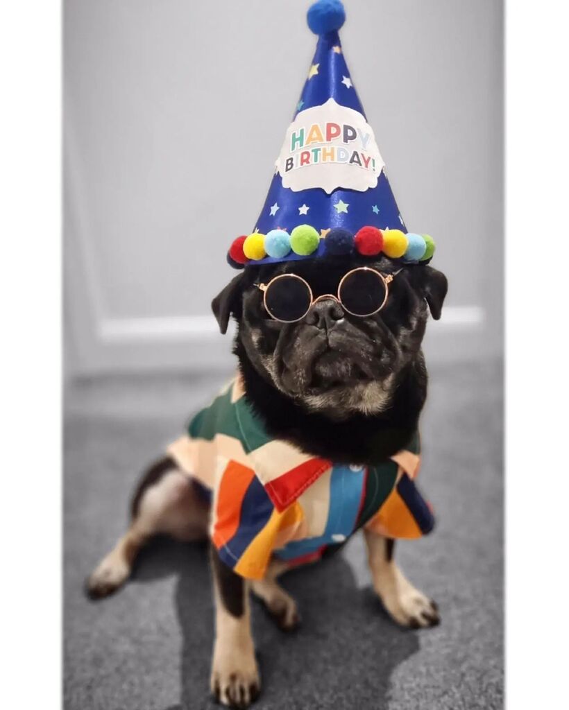 Iconic. instagr.am/p/ClUN3WHrQgp/