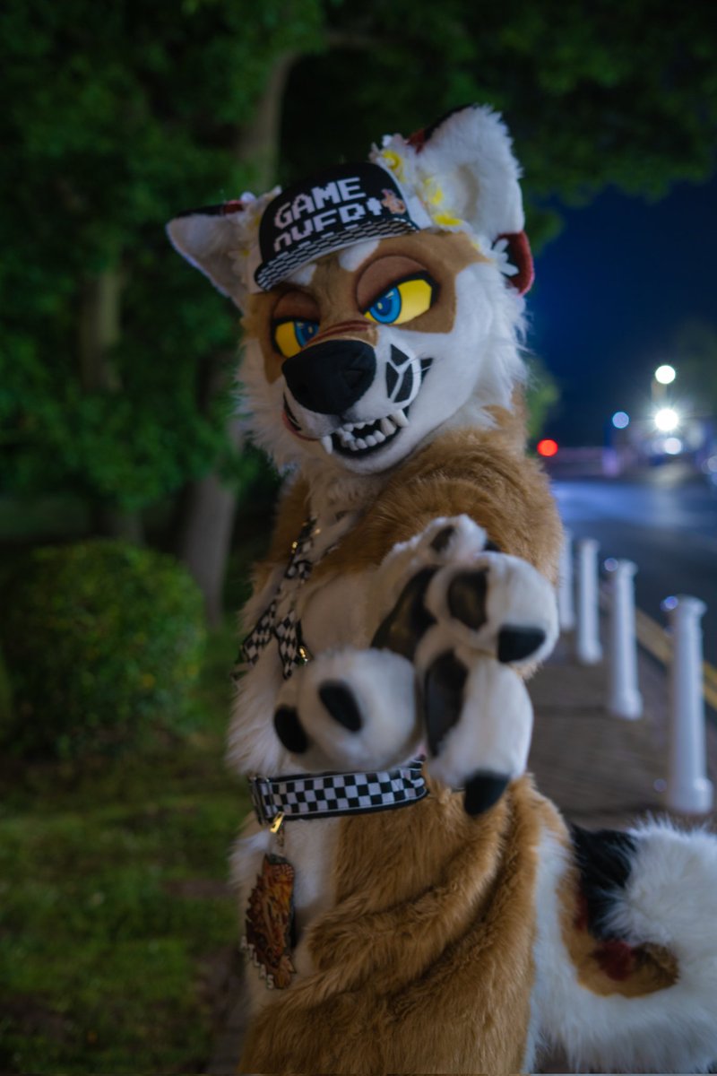 ✨🌃✨ Nice night for a walk ✨🌃✨

✂️:<a href="/PNWorks/">↠ Pin & Needle Works ↞</a>
🦊: <a href="/INKStudioss/">=✯ Ink ✯=</a> 
Owner: <a href="/AtlasInu/">Atlas //ENDWALKER ✨</a>