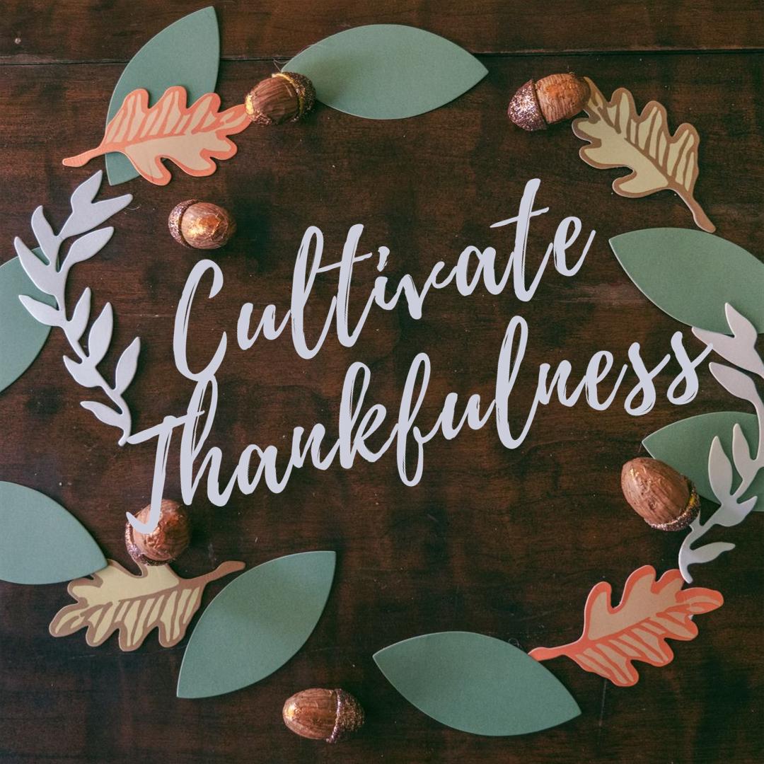 We love and cherish our members and friends and are thankful you are reading this message!

#MPIRMC hopes you have a safe and pleasant rest of the week, wherever you may be.

Cheers!

#Colorado #Denver #Hospitality #EventProfs #Unity #Peace #Thankfulness