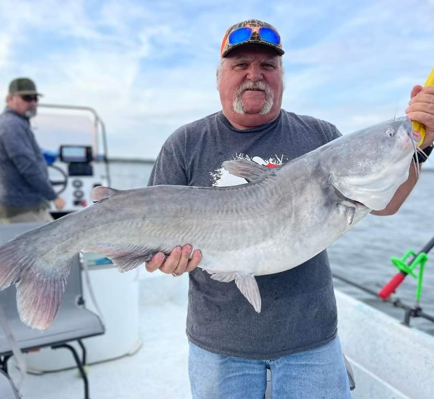 CatfishNOW1's tweet photo. Daniel Armstrong and clients utilize SmackDown Catfishing rod holders for precision placement of their rods and baits.
https://t.co/mmUgs8lnT9
#SmackdownCatfishing #SmackdownRodHolders #Catfish #Fishing #BuiltForTheBeast #Catfishing #FallCatfish #RodHolders #CatfishNOW https://t.co/Eqcvp6QmJE