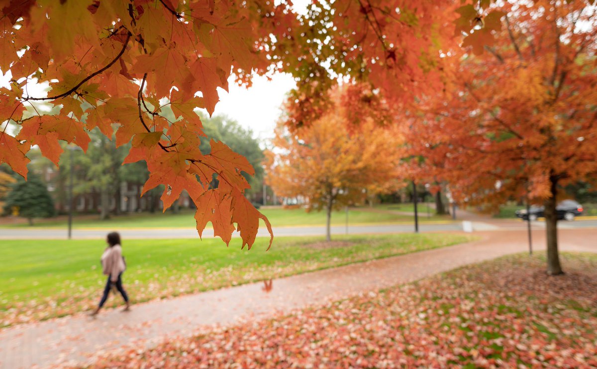 Elon Admissions tweet media