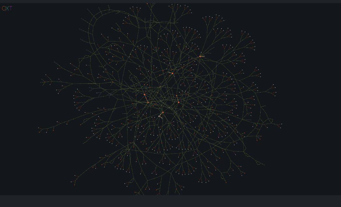 0xUMMA's tweet photo. The neural network of BTC. https://t.co/mSJuYZftvV