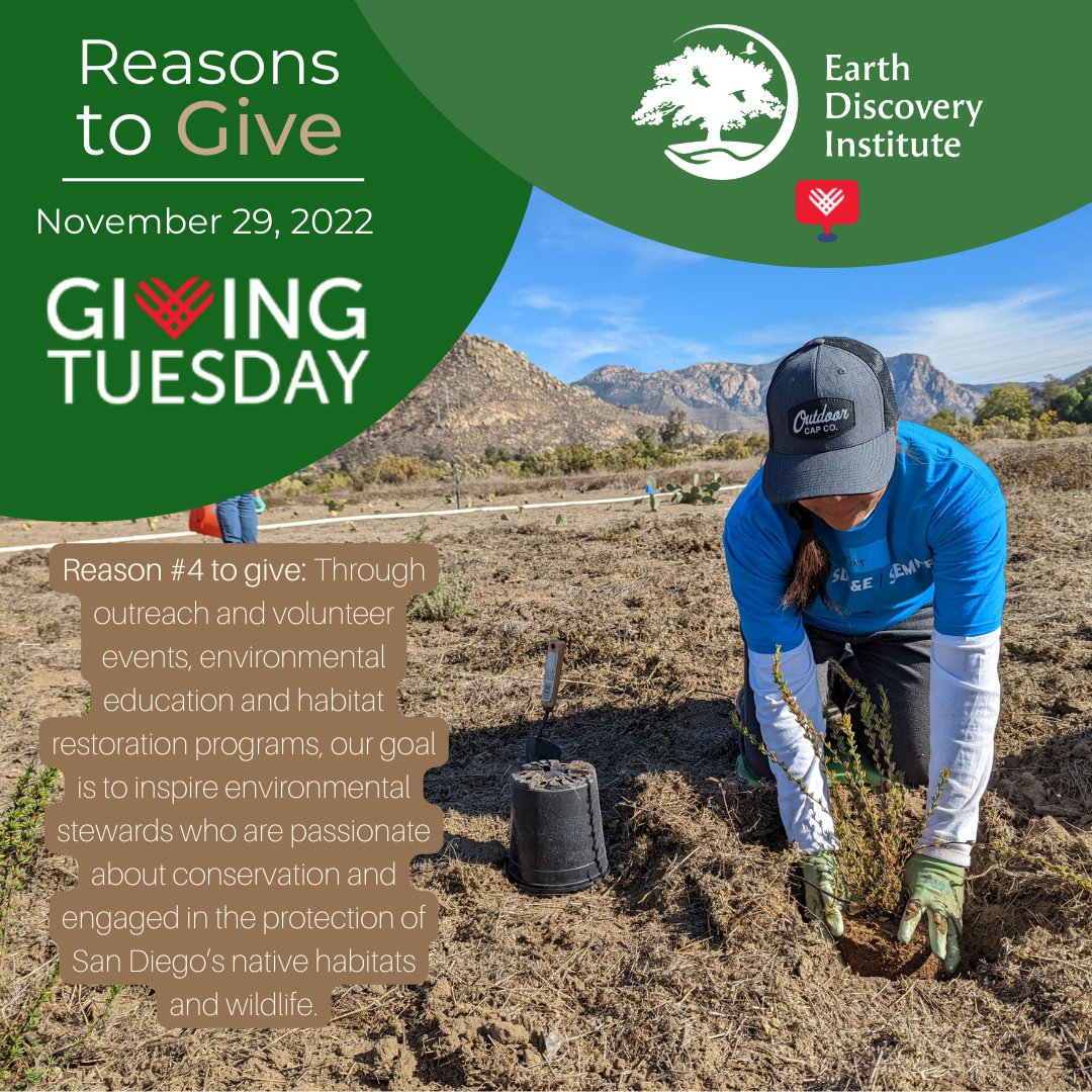 Earth Discovery Institute tweet media