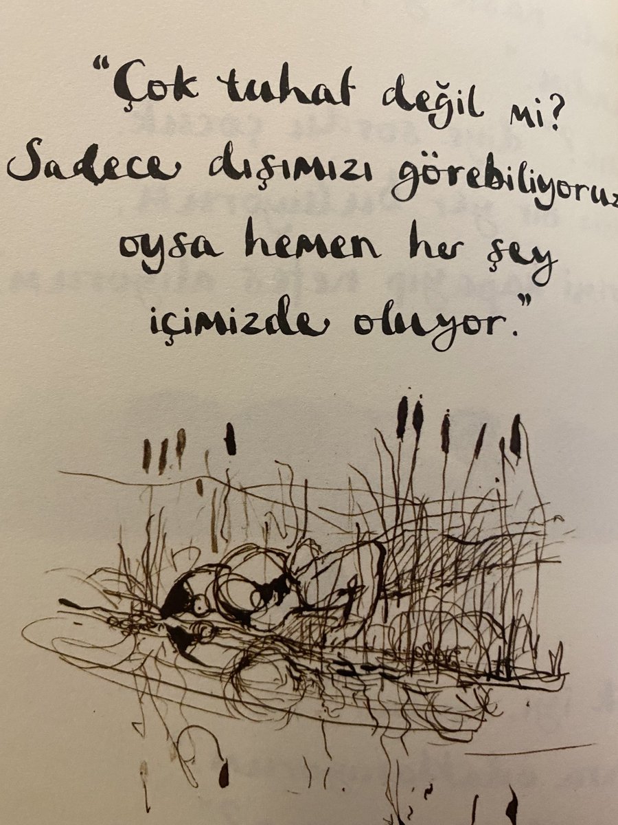 aysel burda yok (@esasliesans) on Twitter photo 