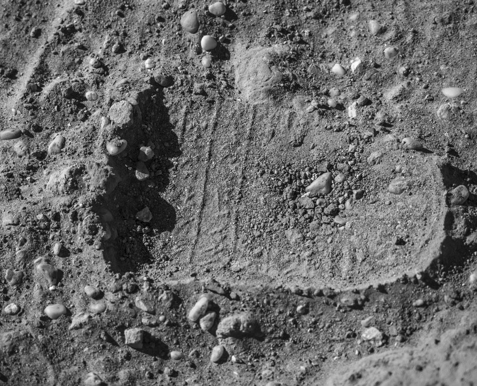 Vincent Francigny tweet media