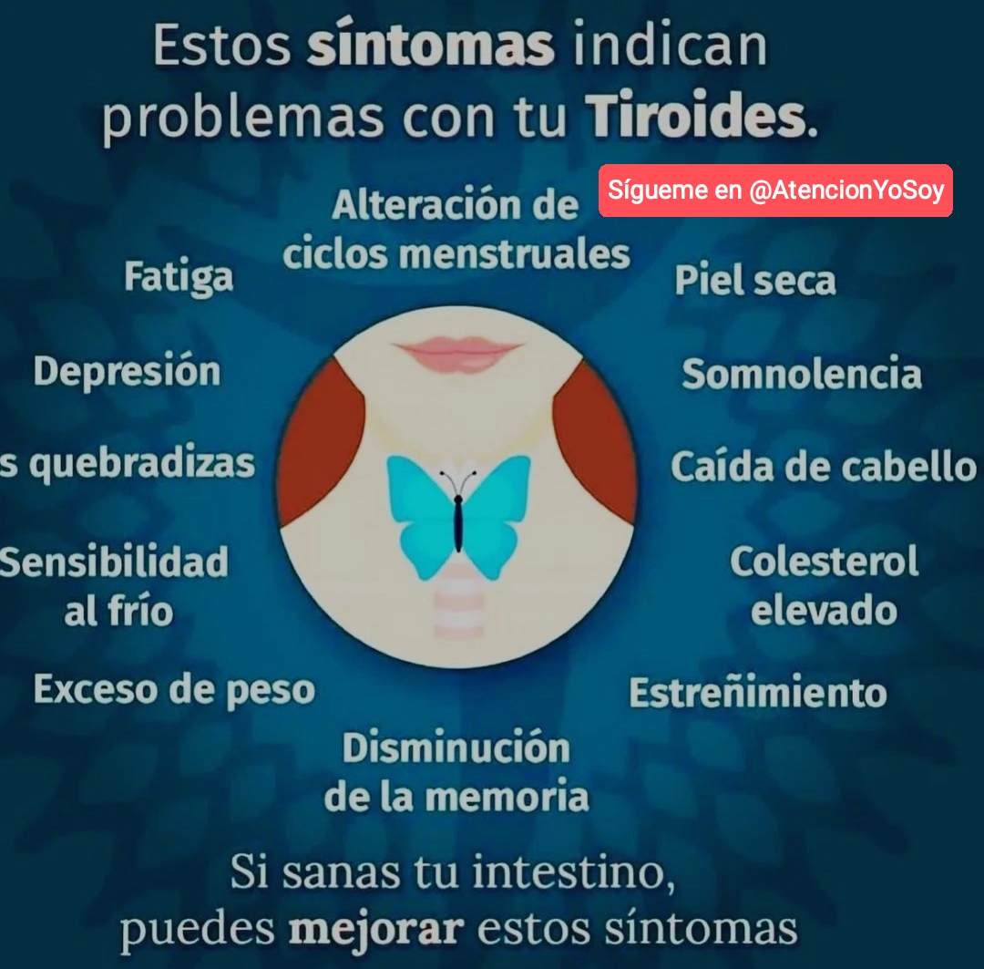 Síntomas de la tiroides estreñimiento