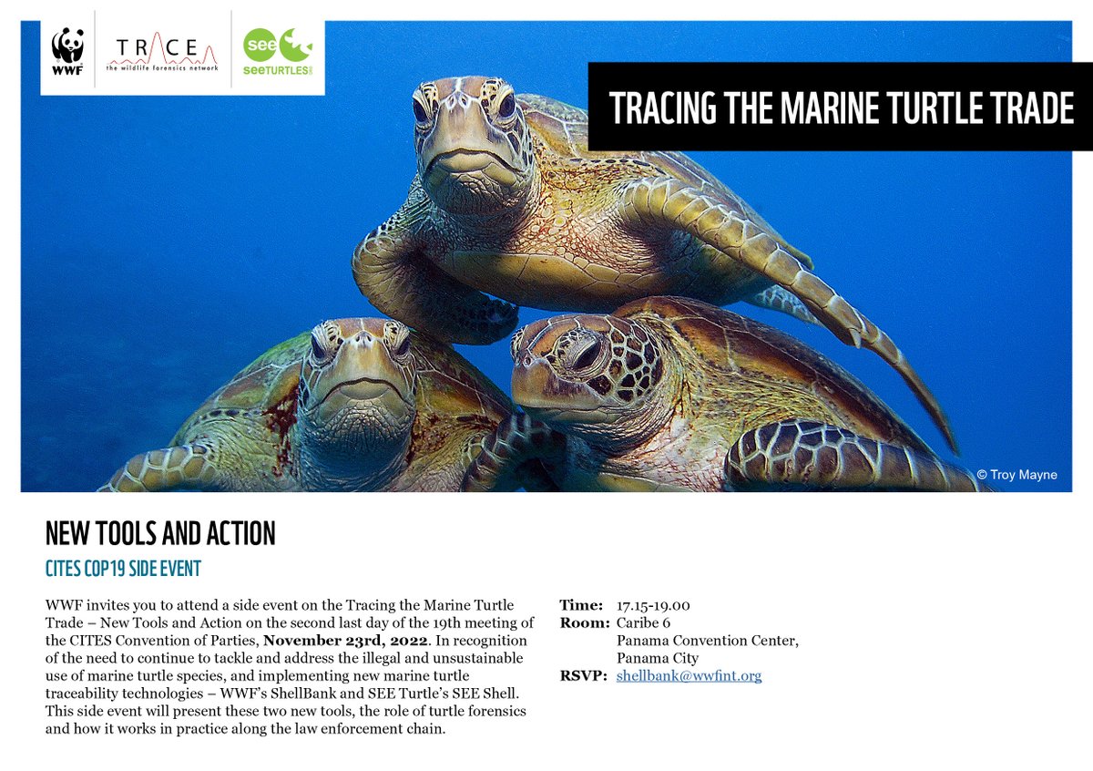 WWFBiodiversity's tweet photo. Christine Hof, WWF’s Global Marine Turtle Conservation Lead will introduce #ShellBank, the world’s first traceability toolkit and global database of marine turtle DNA - ShellBank at an event today at #CITESCoP19 in Panama. #WildlifeThriving https://t.co/XfEIk9sjy0