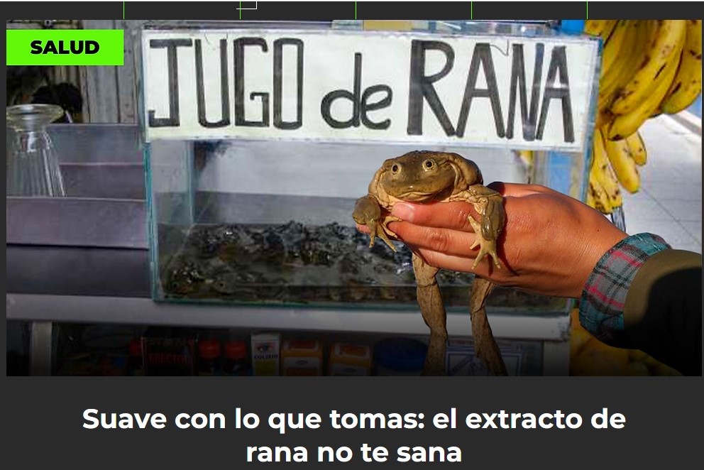 📢🚨🚑 🐸¡No consumas extracto de ranas! Al hacerlo, incentivas la extracción ilegal de ranas gigantes (principalmente de los lagos Titicaca y Junín) amenazadas de extinción; y te expones a contraer enfermedades gastrointestinales. 
Revisa el video 👇: n9.cl/dthdj