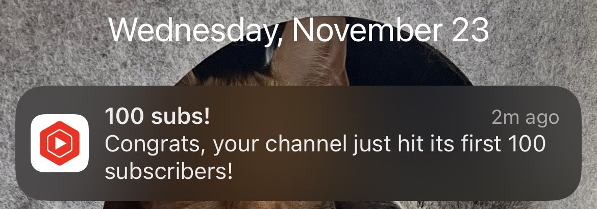 ShadowandSteel's tweet photo. Just hit 100 subscribers on YouTube 🤩🤩 #Pokemon #PokemonTCG #YouTubeShorts https://t.co/rgJXGVnVFK