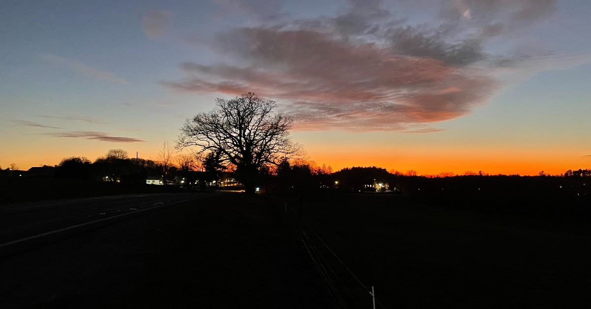 Tweet by Tufts | Cummings School of Veterinary Medicine