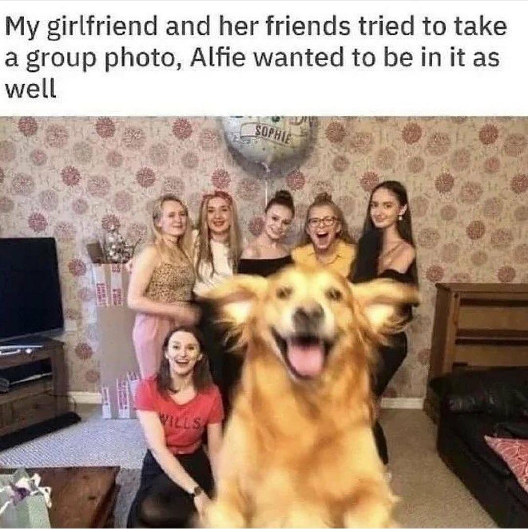 WholesomeMemes (@wholesomememe) on Twitter photo 