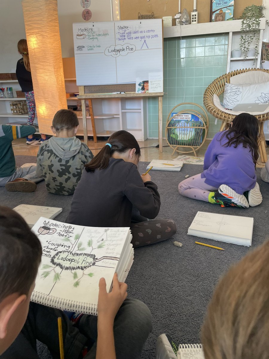 Miss. Hamptons Grade 1/2 Class tweet media