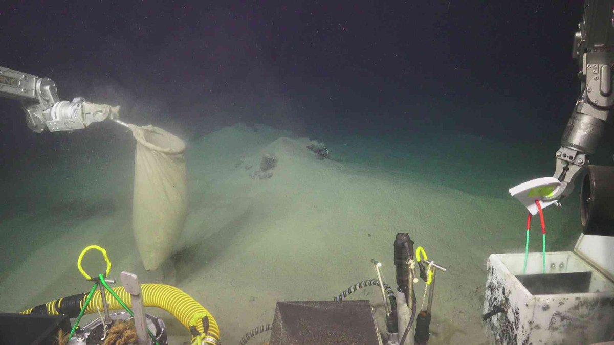 marcus_chaknova's tweet photo. Headline catching eruptions El Hierro (2011) and Hunga volcano (2022) draw attention to the importance of multi-disciplinary collaborative networks in submarine volcanism
 #submarinevolcanism #marinescience #Hungavolcano #ElHierro @IAVCEIsubmarine @MarineSciCamp @GeoTenerife https://t.co/STRkSmh5qp