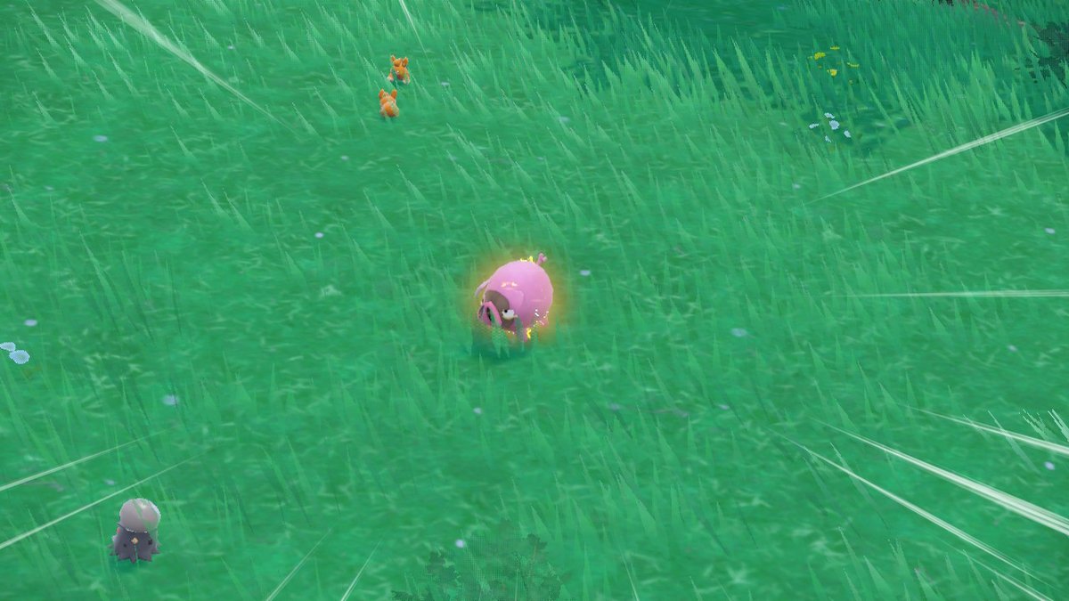 Shiny Lechonk