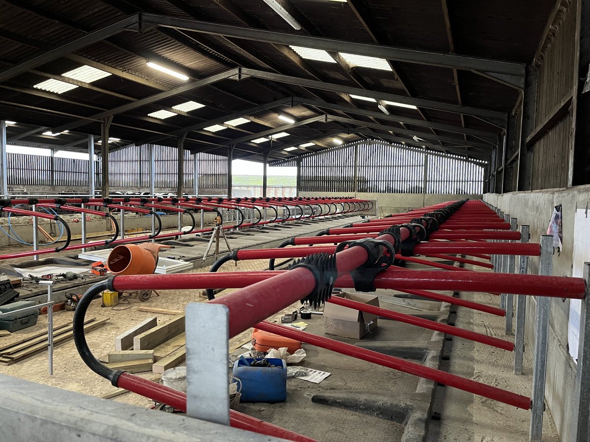 rossfourcows's tweet photo. This customer is adding an additional robot so we took care on the #cow comfort by adding our ⁦@EASYFIXOfficial⁩ cubicles and Jupiter mattresses… https://t.co/wytNNqsMIb
