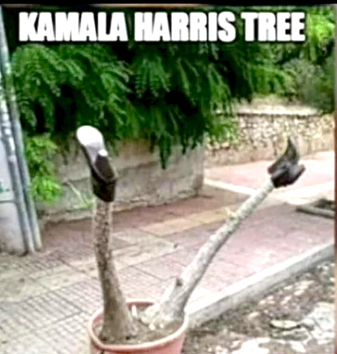 Denise On Twitter Heels Up Harris denise-on-twitter-heels-up-harris