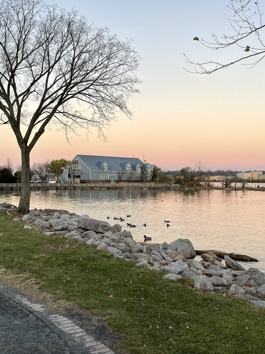 There is definitely #nofilterneeded when the #sunset is casting such lovely soft colors across the #PotomacRiver!

#extraordinaryalx #sunsetphotography #nofilter #alexandriava #eveninglight #riparianentertainment #eveningwalk #oronocobaypark #oldtownalexandria #riverview