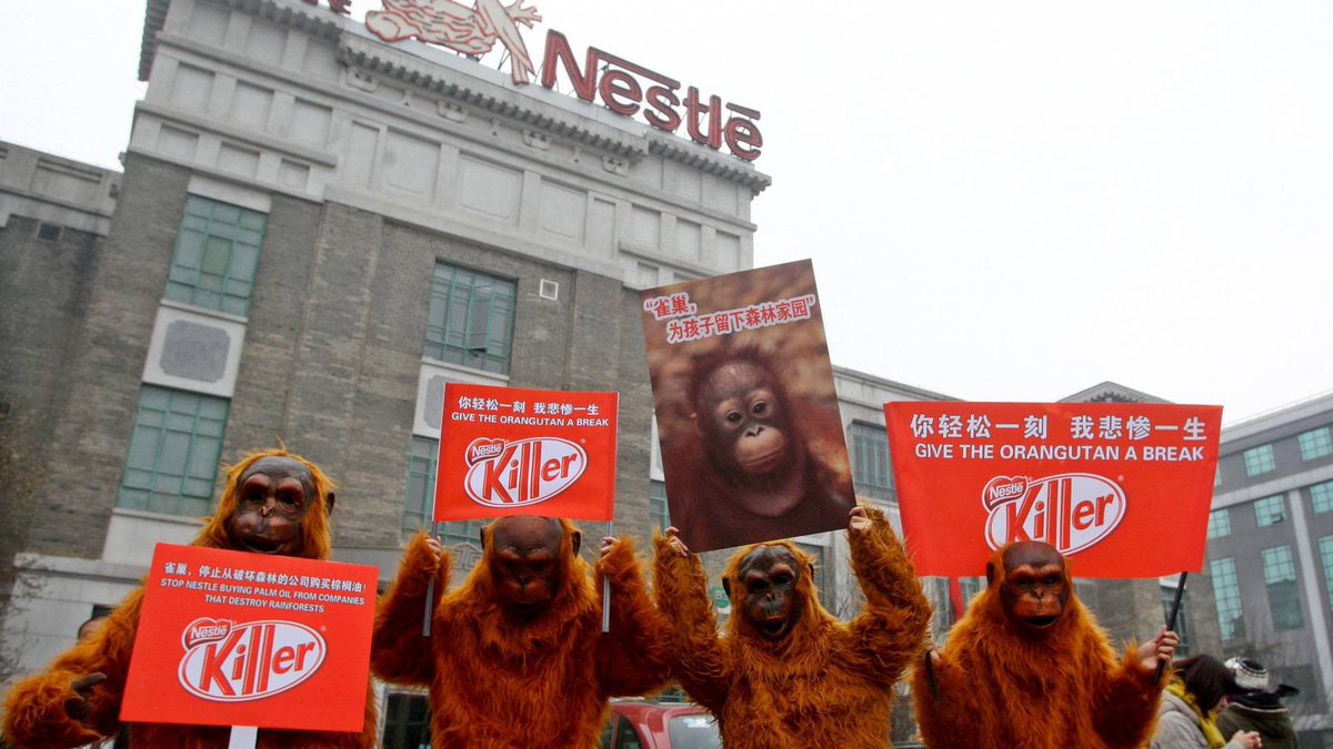 mpazfrixonen's tweet photo. @PaolaMKT En el año 2010, se difundió un vídeo donde se denunciaba el proceso de fabricación de KitKat, el cual se realizaba en un area donde vivían una especie de orangutanes protegidos.Esto se expandió rápidamente, causando malos comentarios hasta el día de hoy #CConsumidorUSFQ @PaolaMKT https://t.co/s1hdlV2gpE