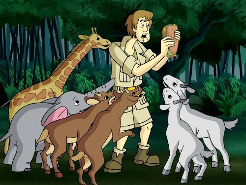 ScoobyandCam's tweet image. Happy 20th Anniversary to “Safari, So Goodi!”. This is episode 8, season 1 of “What’s New, Scooby-Doo?”. This episode aired on November 23rd, 2002 on Kids WB.

#WhatsNewScoobyDoo #ScoobyDoo #Shaggy #Velma #Daphne #Fred #MysteryMachine