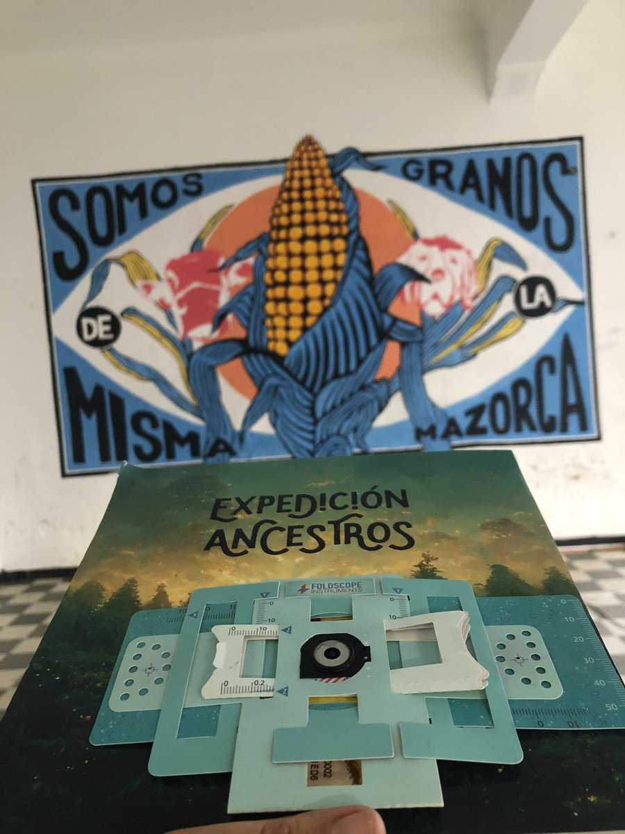 Eureka Soluciones Educativas tweet media
