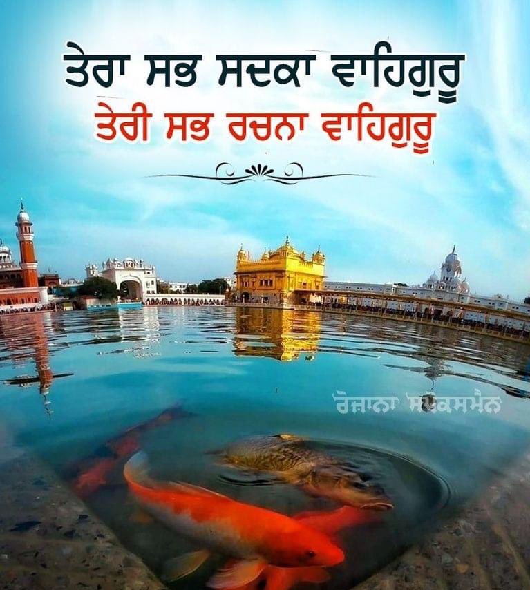 Ak47gill's tweet photo. Waheguru Ji 🌺 https://t.co/wr1bT51BFj