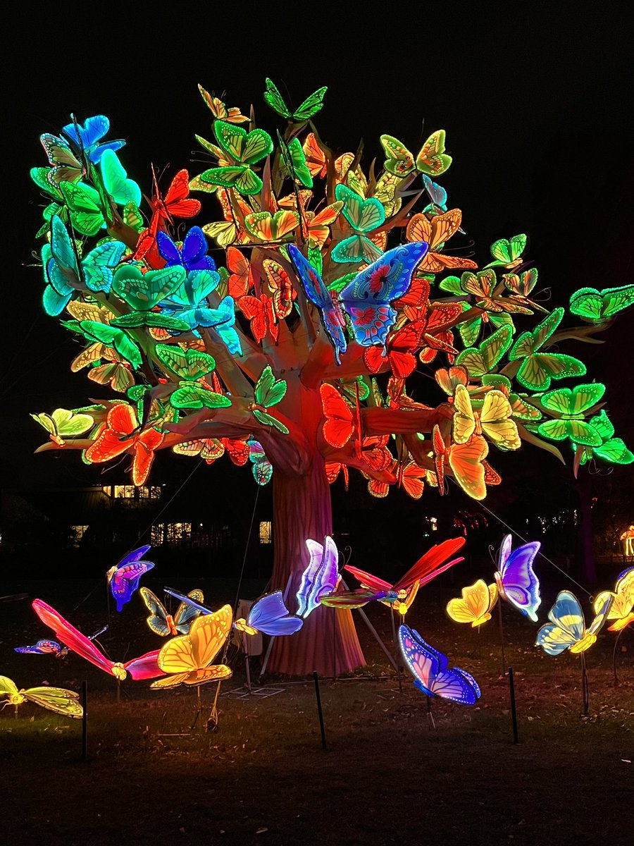 rocknrobn69's tweet photo. Had a great night with the fam at the zoo #wildlights #scz #sedgwickcountyzoo https://t.co/A8slDw81x9