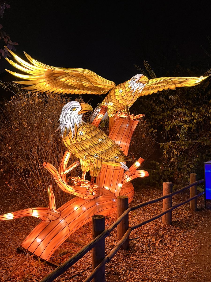 rocknrobn69's tweet photo. Had a great night with the fam at the zoo #wildlights #scz #sedgwickcountyzoo https://t.co/A8slDw81x9