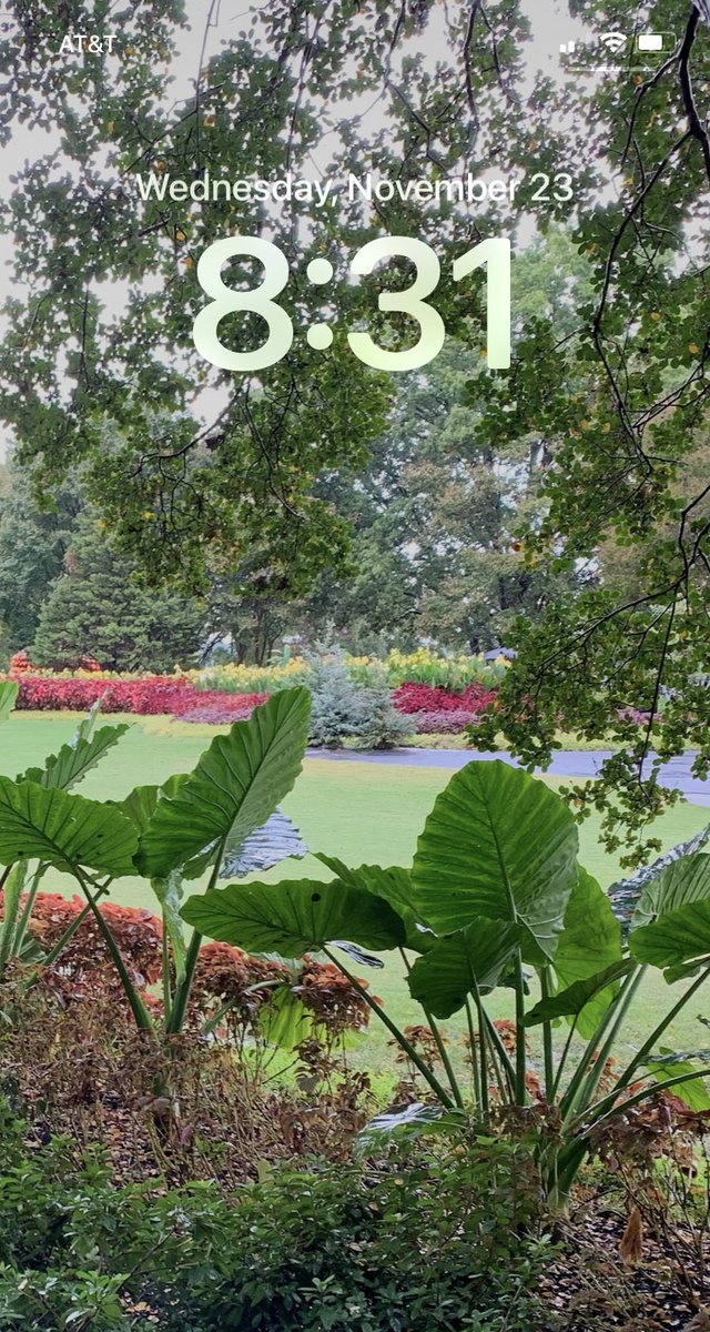 Whose idea was the thick numbers?  I'm not liking this, people.