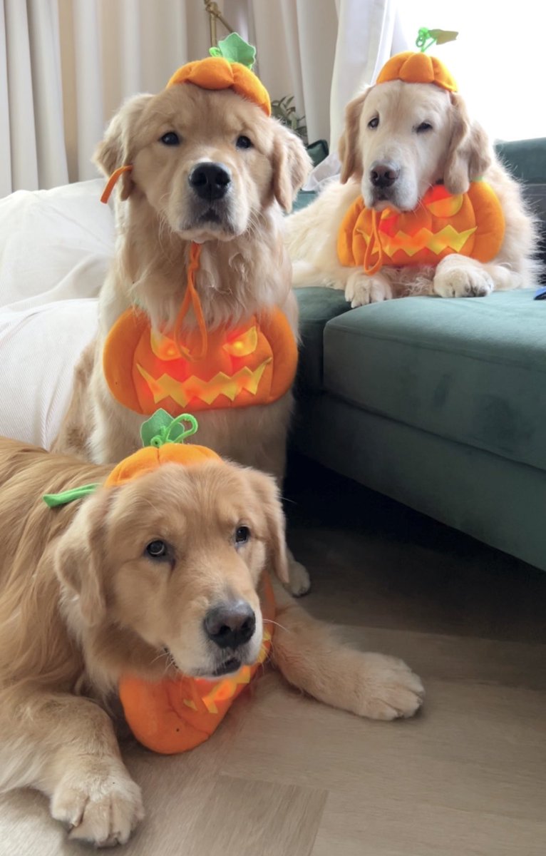 รวมพลคนทอป <a href="/lyrajenox/">ทอปกัย ตำรวจบ0ท</a>