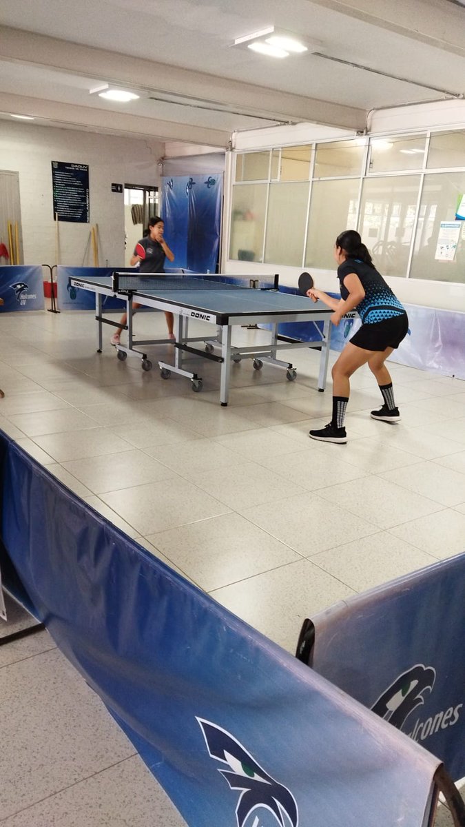 ccecyte's tweet photo. Nuestras alumnas en la disciplina de tenis de mesa delegación Veracruz contra Durango dentro del Encuentro Nacional Deportivo de los CECyTEs 2022.
#ENDCECyTEs2022 #deporte #competencia #habilidades #disciplinas #equipo #talento  
@ccecyte @cecytev https://t.co/9Yvg4DDIz7