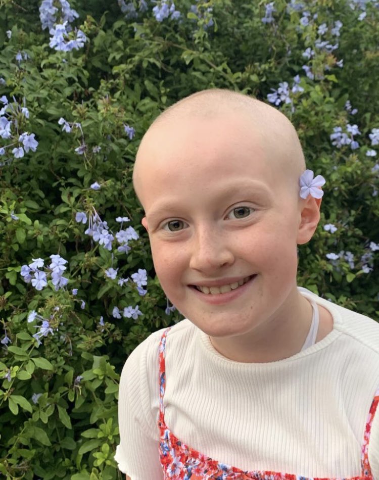 Dalkey Rowing Club tweet media