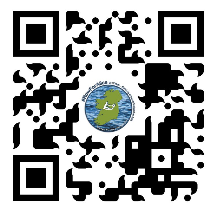 Dalkey Rowing Club tweet media