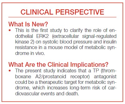 Endothelial ERK2 increases superoxide level and reduces NO bioactivity, resulting in the deterioration of endothelial function, insulin resistance, and steatohepatitis in a mouse model of metabolic syndrome @MdTakumi #AHAJournals ahajrnls.org/3EZhPtY