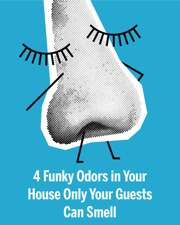 date4RE's tweet image. Bes to get rid of these for open houses bit.ly/2E0cZMg