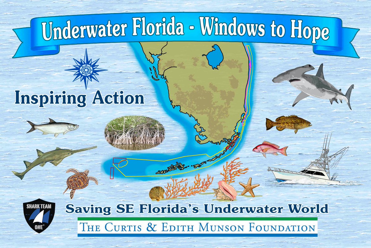 Wow! GIVING TUESDAY FUNDRAISER with a $15,000 MATCH from The Curtis & Edith Munson Foundation to benefit our Ocean Ecosystem Protection Program & Underwater Florida - Windows to Hope campaign! We're so happy & proud! To donate head to: sharkteamone.org/donate.html #GivingTuesday