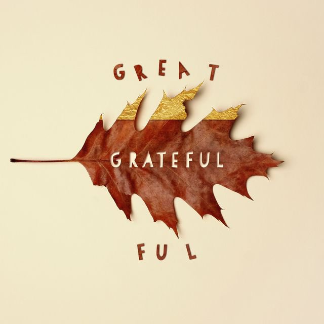 KSABeautiful's tweet photo. We are grateful for each and every one of you! #grateful #keepSAbeautiful https://t.co/KX6ALnUx9n