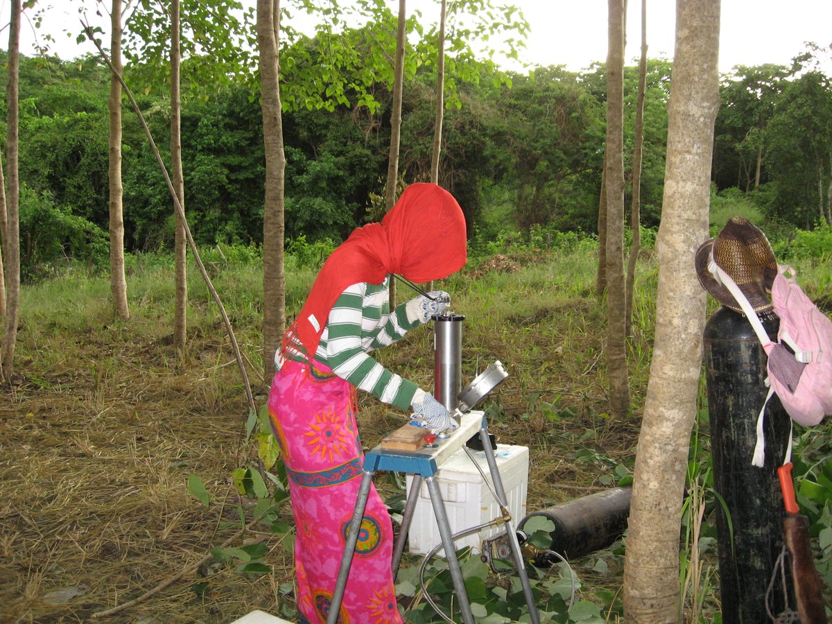 Victoria Pérez-Martínez tweet media