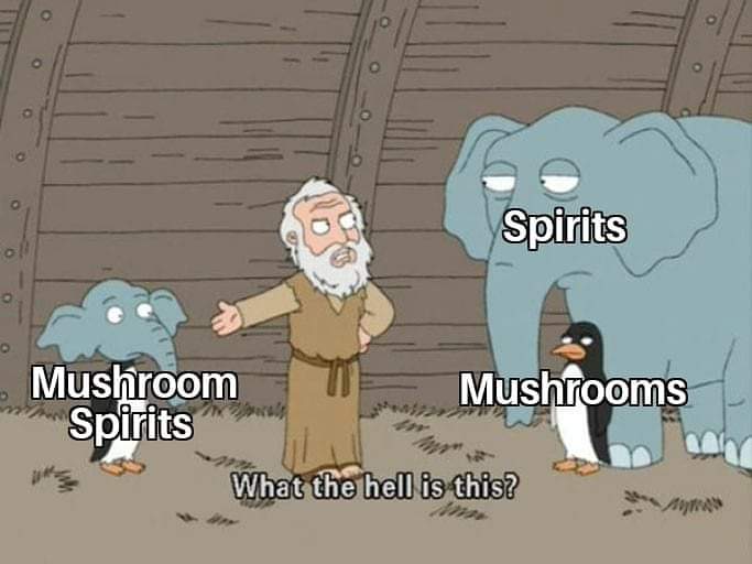 MushroomSpirits's tweet photo. Find us Black Friday at the Central NY Regional Market in #syracuse #cny #su #oswego https://t.co/pYnDwzKdFP