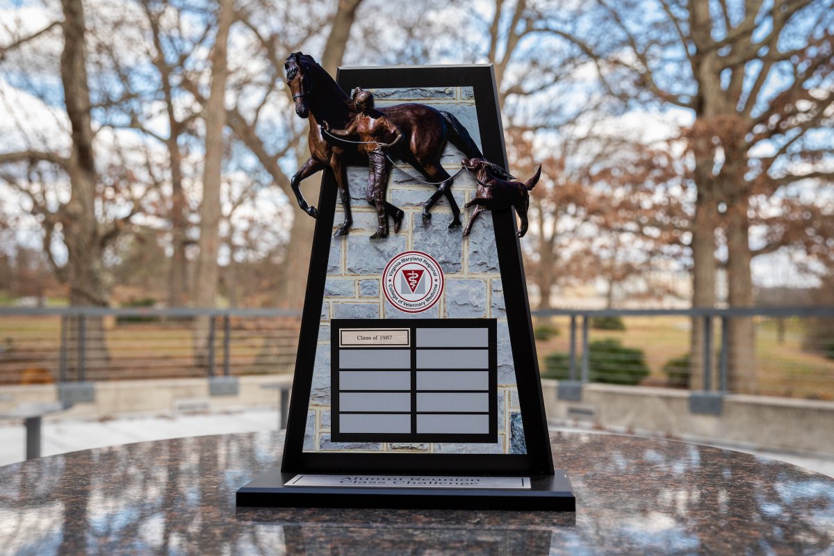 Tweet by Virginia-Maryland College of Veterinary Medicine