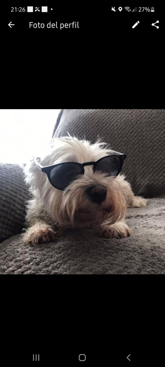 Hugo Parra tweet media