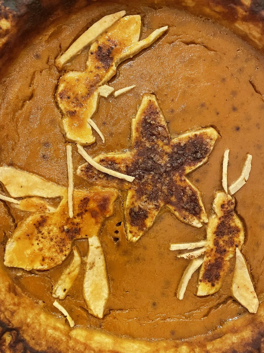 Peponapis pumpkin pie! This #Thanksgiving, thank a squash #bee!