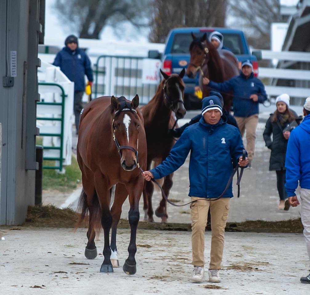 Highgate_Sales's tweet photo. Today, tomorrow and every day we are thankful for the horses and humans that have helped us launch &amp; build #TeamHighgate this year https://t.co/zXDmnnxZ0v