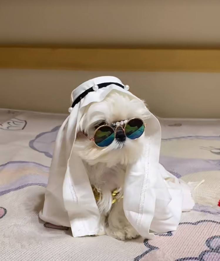 Hyojin634's tweet photo. My Qatari prince is here, love him so much!😍😍🥰🥰 https://t.co/nhn6dibL8b