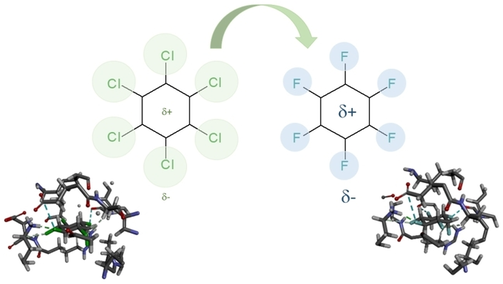 Theoretical Exploitation of 1,2,3,4,5,6-Hexachloro- and 1,2,3,4,5,6-Hexafluorocyclohexane Isomers as Biologically Active Compounds (Freitas) <a href="/matheuspuggina/">Matheus Puggina de Freitas</a>, <a href="/MartFrancisco19/">Francisco Martins</a> onlinelibrary.wiley.com/doi/10.1002/cp…