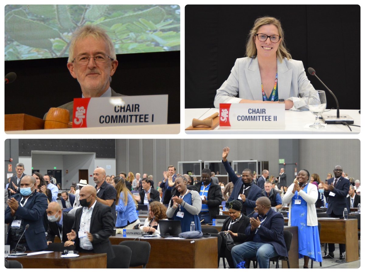 Committee stage of #CITESCoP19 now done! Standing ovation for the Chairs, Dr Rhedyn Ollerenshaw & Dr Vin Fleming for their hard work. All decisions will now go to Plenary over the next 2 days. Stay tuned. #WorldWildlifeConference