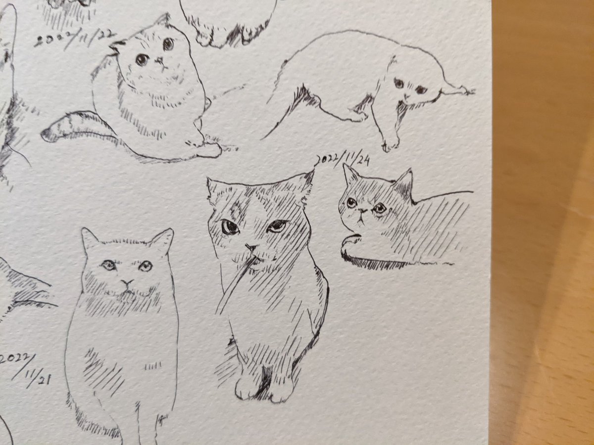 日本大金星〜 感動をありがとう カキカキ。 